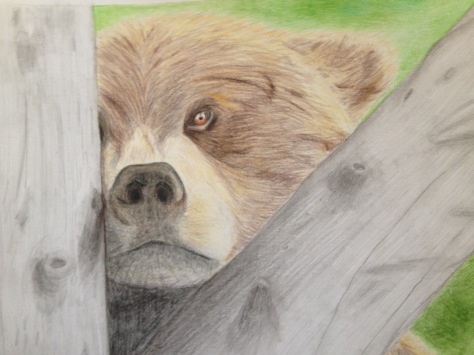 Andrea Mathwich, "Curious Bear"